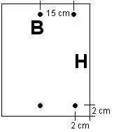 Balgschoner 96 Bass IT Nr. 5 Nylon