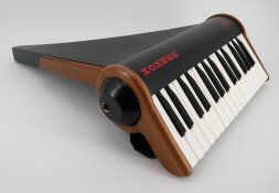 Hohner Claviola